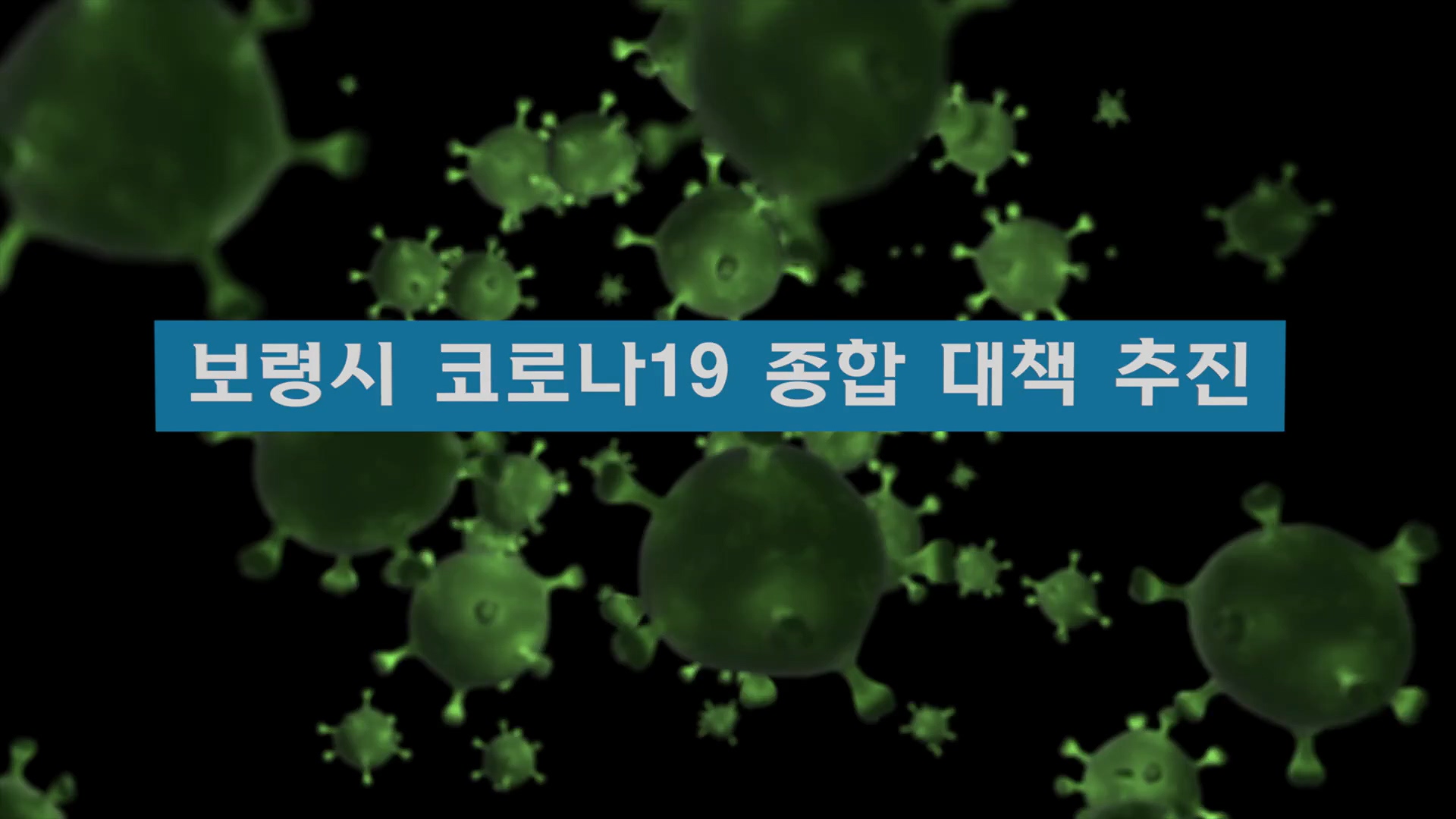 보령시 코로나19 종합 대책 추진